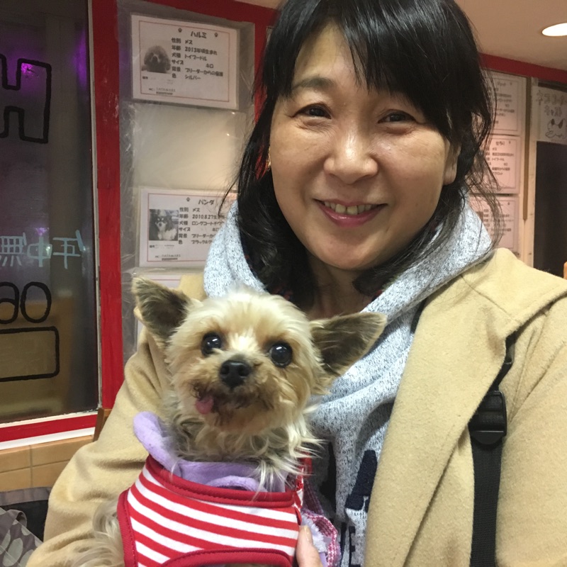 【運命の赤い糸見～つけた💓ヨーキーのアイスちゃん💕、Mダックスのマリーアントワネットちゃん💕】